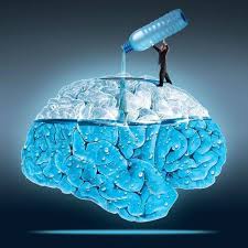 Dehydration and the Brain