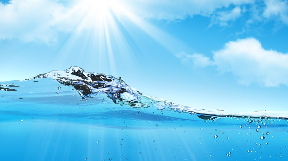 Waters Co USA | Domestic, Commercial & Personal Water Filters